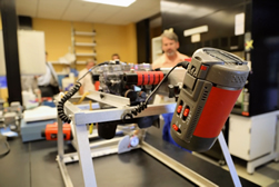 One giant step for ocean diversity